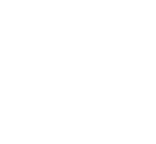 그래프수치